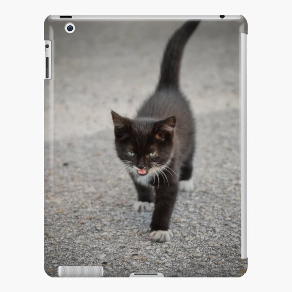 Black kitten iPad Snap Case
