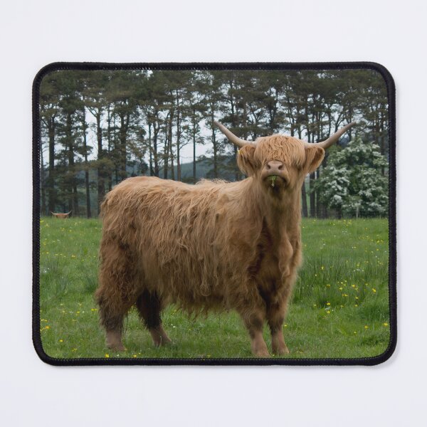 Item preview, Cow with horns - brown cow - fluffy cow designed and sold by animal-animal.