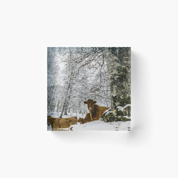 Artikelvorschau, Cow with horns - brown cow - fluffy cow entworfen und verkauft von animal-animal.