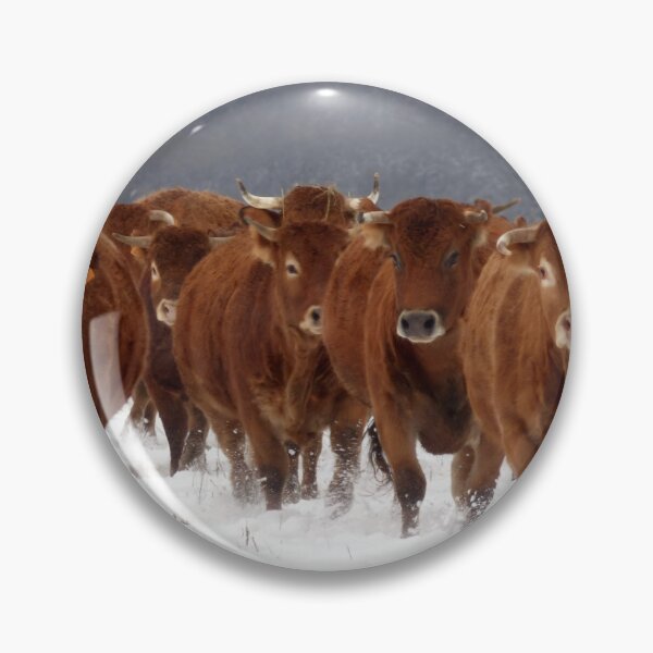 Item preview, Cow with horns - brown cow - fluffy cow designed and sold by animal-animal.