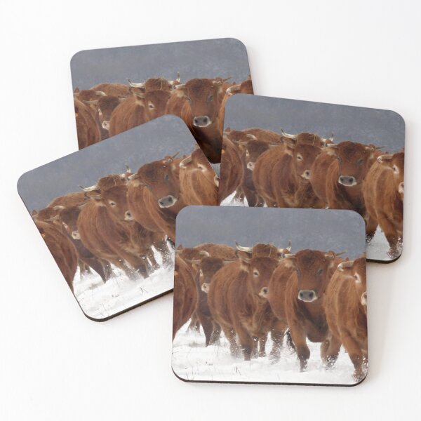 Item preview, Cow with horns - brown cow - fluffy cow designed and sold by animal-animal.