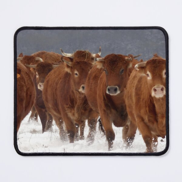 Item preview, Cow with horns - brown cow - fluffy cow designed and sold by animal-animal.