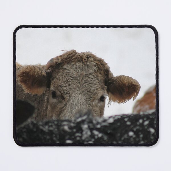 Item preview, Cow with horns - brown cow - fluffy cow - snow cow designed and sold by animal-animal.