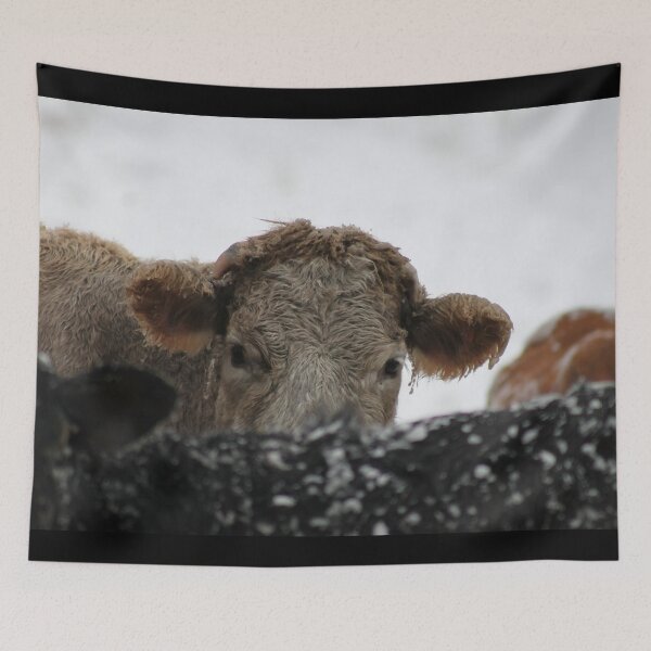 Item preview, Cow with horns - brown cow - fluffy cow - snow cow designed and sold by animal-animal.