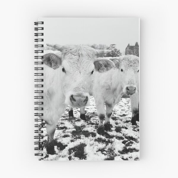 Item preview, Cow with horns -  - snow cow - fluffy cow designed and sold by animal-animal.