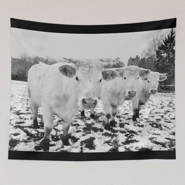 Item preview, Cow with horns -  - snow cow - fluffy cow designed and sold by animal-animal.