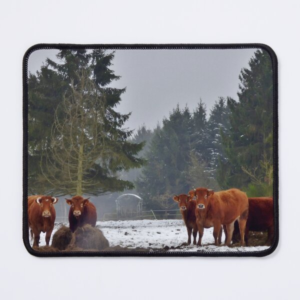 Artikelvorschau, Cow with horns - brown cow - fluffy cow entworfen und verkauft von animal-animal.