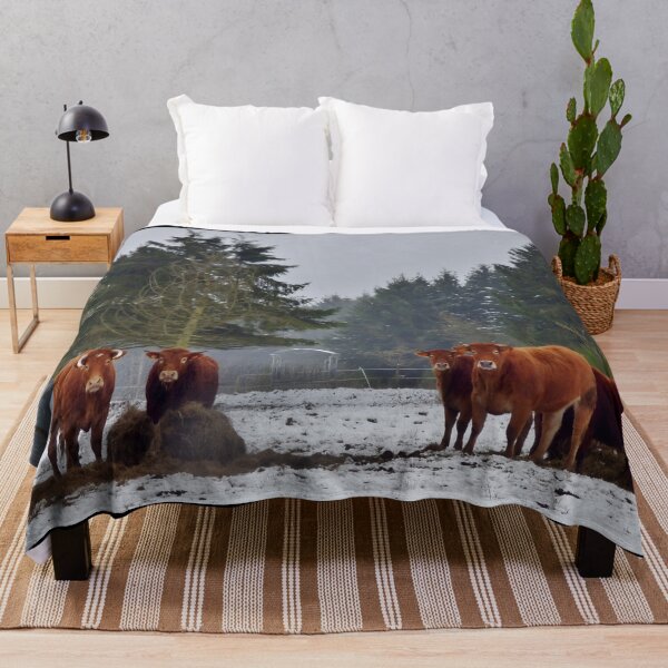 Item preview, Cow with horns - brown cow - fluffy cow designed and sold by animal-animal.