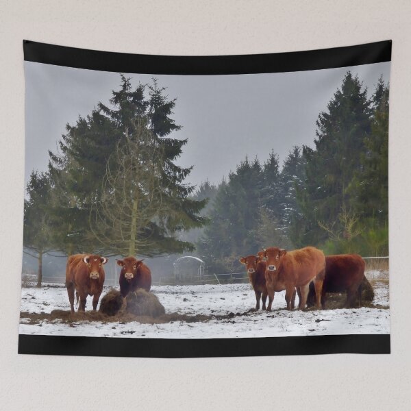 Item preview, Cow with horns - brown cow - fluffy cow designed and sold by animal-animal.