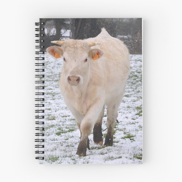 Item preview, Cow with horns - white cow - fluffy cow - snow cow designed and sold by animal-animal.