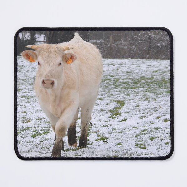Item preview, Cow with horns - white cow - fluffy cow - snow cow designed and sold by animal-animal.