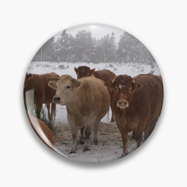 Item preview, Cow with horns - brown cow - fluffy cow - snow cow designed and sold by animal-animal.