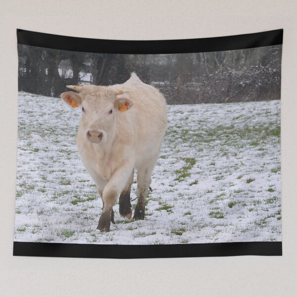Item preview, Cow with horns - white cow - fluffy cow - snow cow designed and sold by animal-animal.