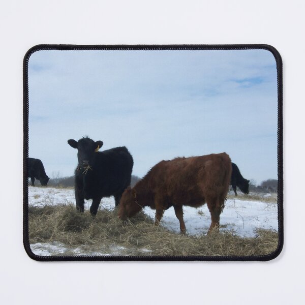 Item preview, Cow with horns - brown cow - fluffy cow - snow cow designed and sold by animal-animal.