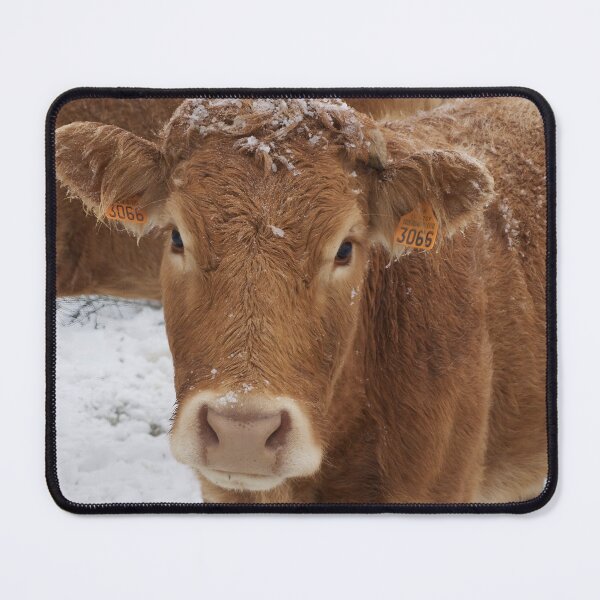 Artikelvorschau, Cow with horns - brown cow - fluffy cow - snow cow entworfen und verkauft von animal-animal.