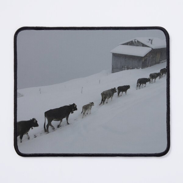 Artikelvorschau, Cow with horns - black cow - fluffy cow - snow cow entworfen und verkauft von animal-animal.