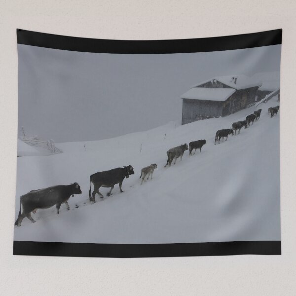 Item preview, Cow with horns - black cow - fluffy cow - snow cow designed and sold by animal-animal.