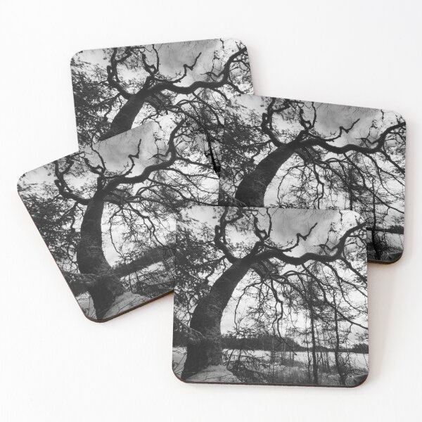 Item preview, 2.11.2023: Old Pine Tree designed and sold by Petri Volanen.