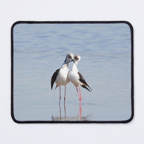 Item preview, Bird love by the lake designed and sold by Juviraga.
