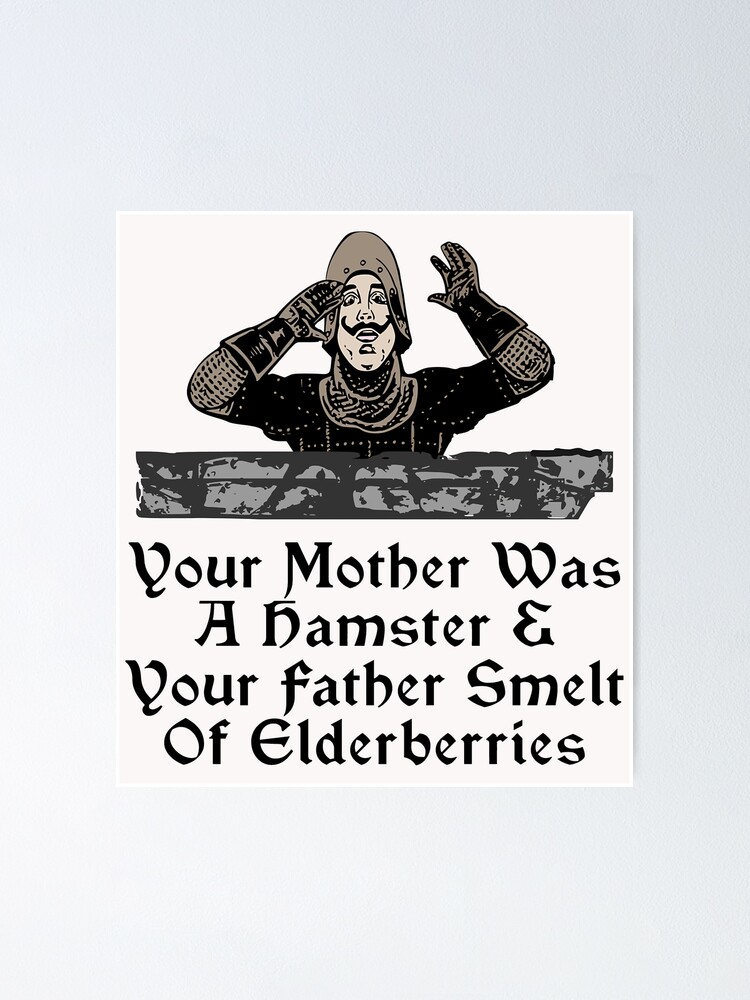 Your Mother Was A Hamster Monty Shirt Funny Gift Phyton Tee Your Mother Was A Hamster Monty Shirt Funny Gift Phyton Tee