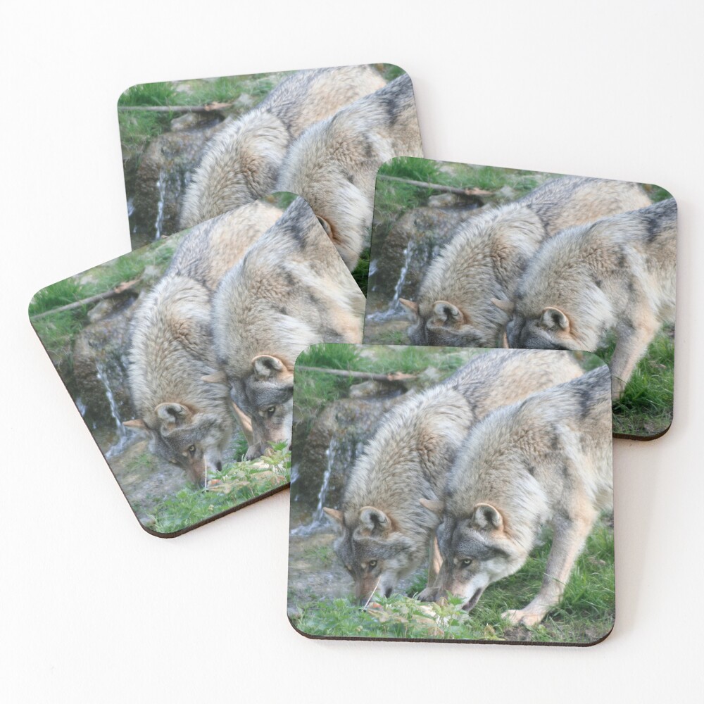 Item preview, Coasters (Set of 4) designed and sold by steffik.