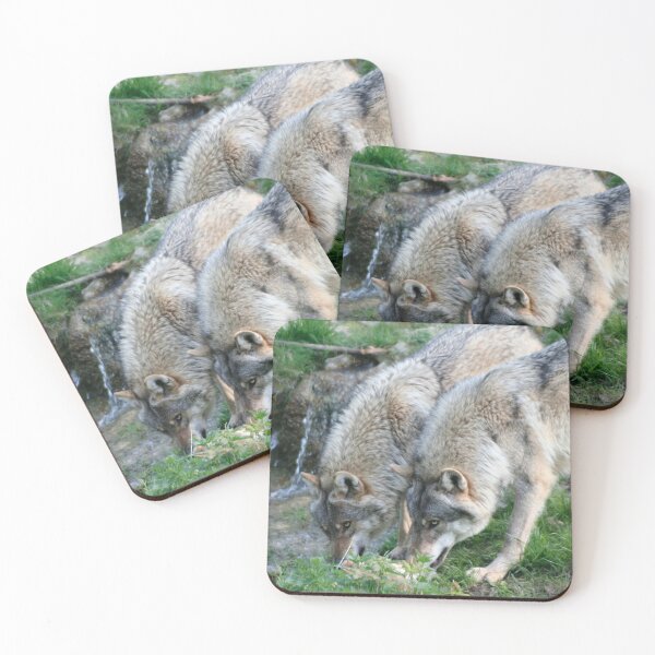 Item preview, Two Wolves designed and sold by Calidris Fotografie Steffi & Ben Köppler.