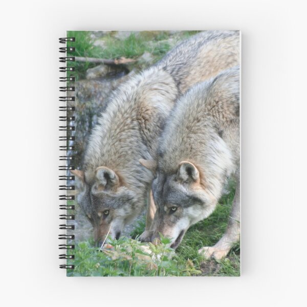 Item preview, Two Wolves designed and sold by Calidris Fotografie Steffi & Ben Köppler.