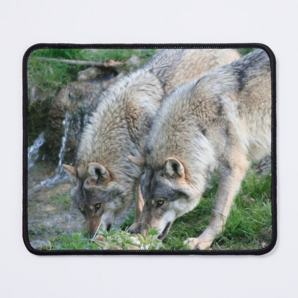 Item preview, Two Wolves designed and sold by Calidris Fotografie Steffi & Ben Köppler.