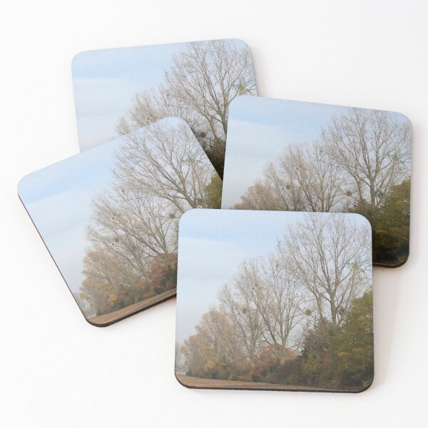 Item preview, Poplars in a Row designed and sold by Calidris Fotografie Steffi & Ben Köppler.