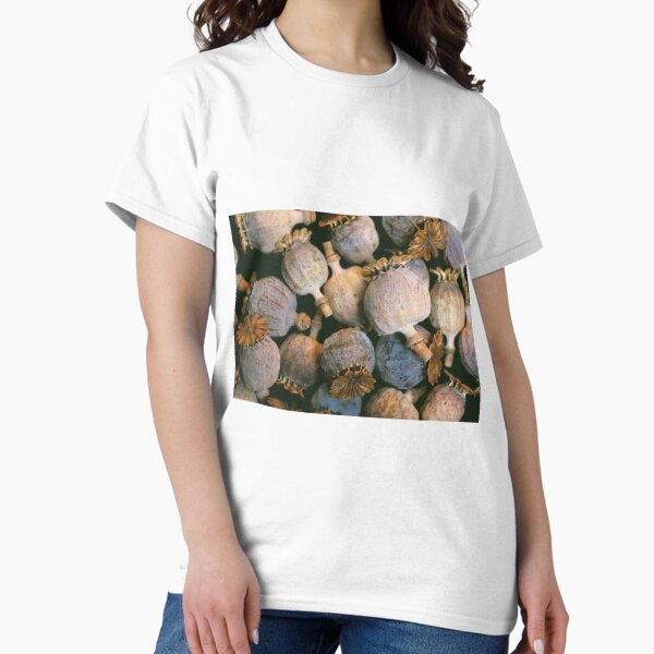 Item preview, Dried opium poppies (B787/0362) designed and sold by SciencePhoto.