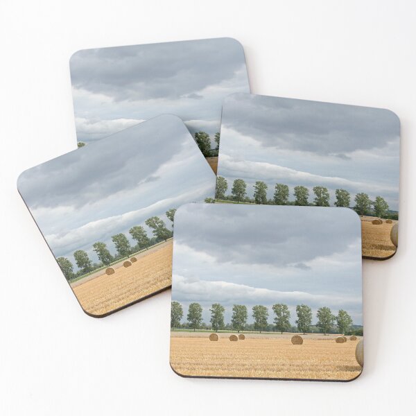 Item preview, Poplars and Straw designed and sold by Calidris Fotografie Steffi & Ben Köppler.