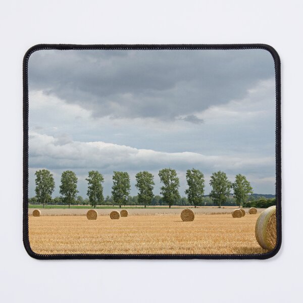 Item preview, Poplars and Straw designed and sold by Calidris Fotografie Steffi & Ben Köppler.