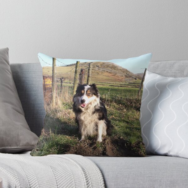 Item preview, Farmland Laddie designed and sold by Michael Haslam.