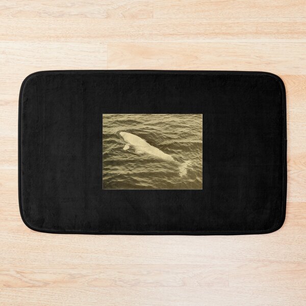 Item preview, Beluga Whale Swimming Black And White Photography designed and sold by kuremureDesign.
