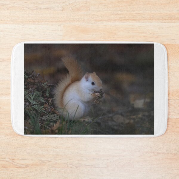 Item preview, Leucistic red squirrel in the forest designed and sold by James Cumming.