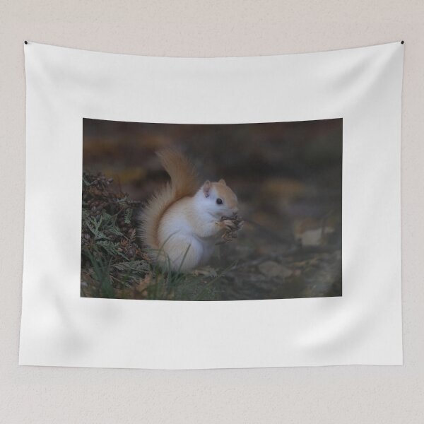 Item preview, Leucistic red squirrel in the forest designed and sold by James Cumming.