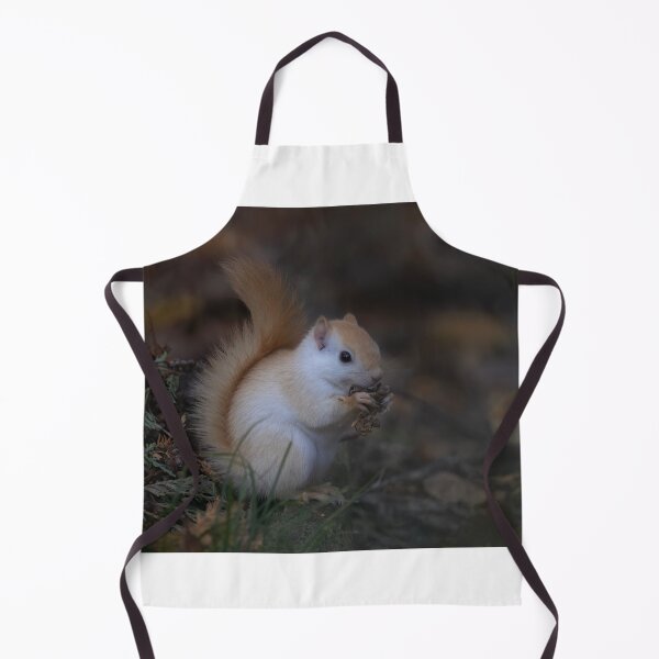 Item preview, Leucistic red squirrel in the forest designed and sold by James Cumming.