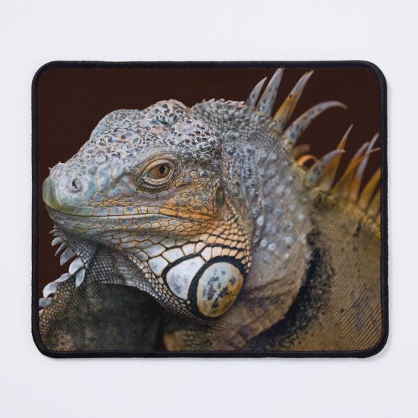 Item preview, Little Dragon designed and sold by Krys Bailey.
