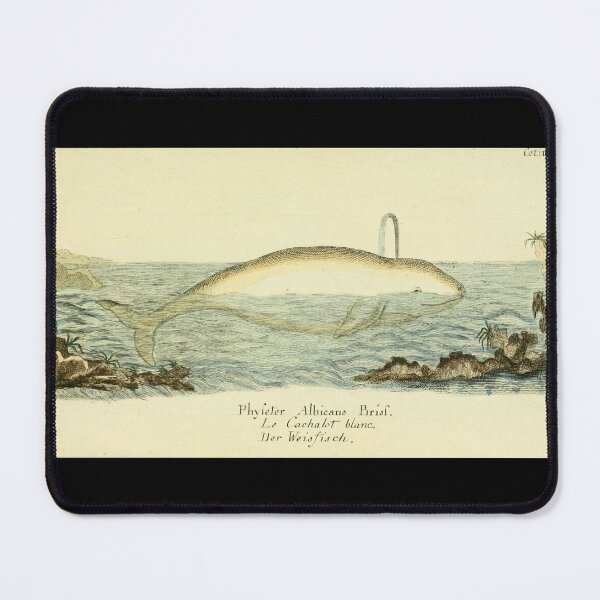 Item preview, Beluga Whale Swimming Vintage Art Illustration designed and sold by kuremureDesign.