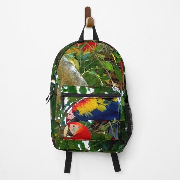 Item preview, Large parrot, Copán Ruinas site in Honduras designed and sold by franck380.