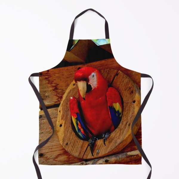 Item preview, Large parrot, Copán Ruinas site in Honduras designed and sold by franck380.