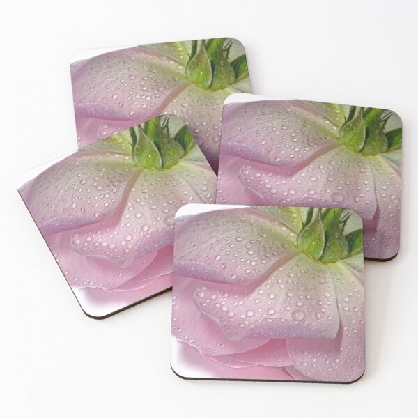 Item preview, Shy Rose designed and sold by Krys Bailey.