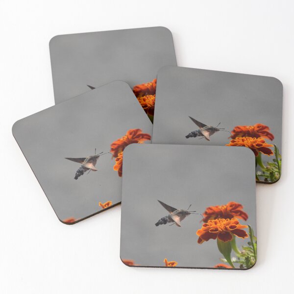 Item preview, Central Asian Sphinx Moth designed and sold by Malcolm Snook.