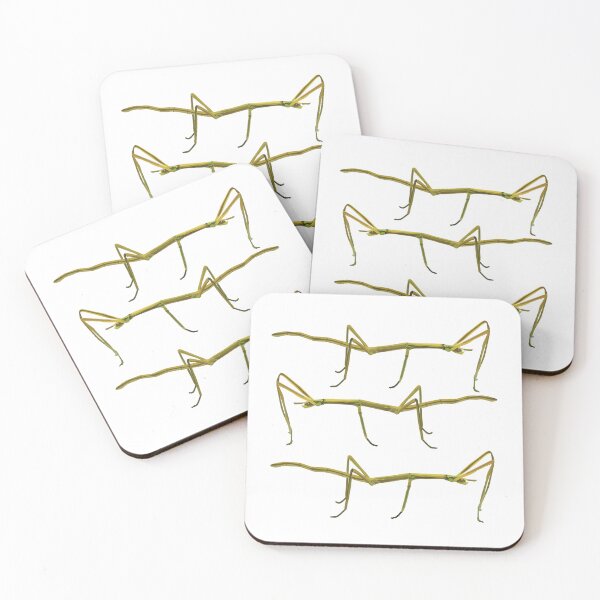Item preview, S is for Stick Insect, Stick Insect – Camouflaged Master of the Insect World Illustration designed and sold by PrettylittlepastelUk.