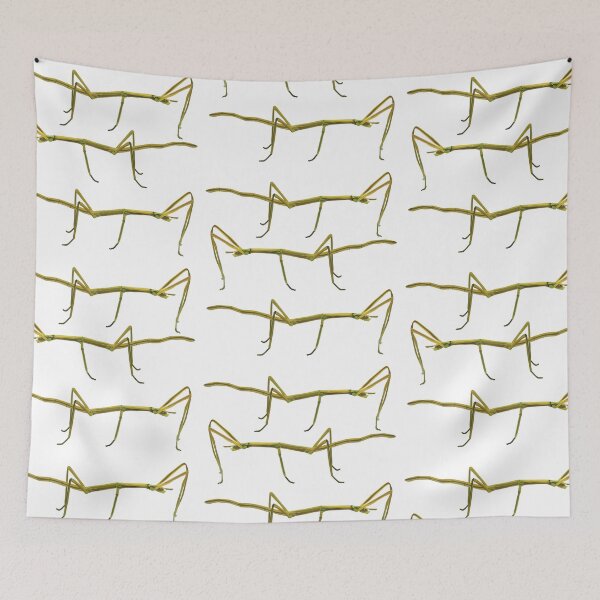 Item preview, S is for Stick Insect, Stick Insect – Camouflaged Master of the Insect World Illustration designed and sold by PrettylittlepastelUk.