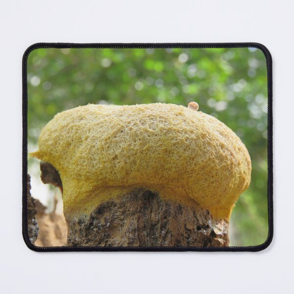 Item preview, Dog Vomit Slime Mold designed and sold by Linda Walsh.