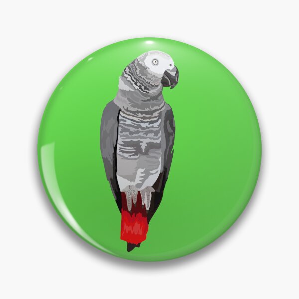 Item preview, A is for African Grey Parrot,African Grey Parrot Illustration – Intelligent and Elegant Tropical Bird Artwork designed and sold by PrettylittlepastelUk.