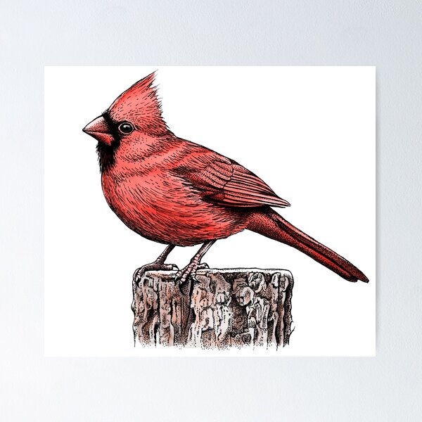 Item preview, Cardinal Color designed and sold by HabbyArt.