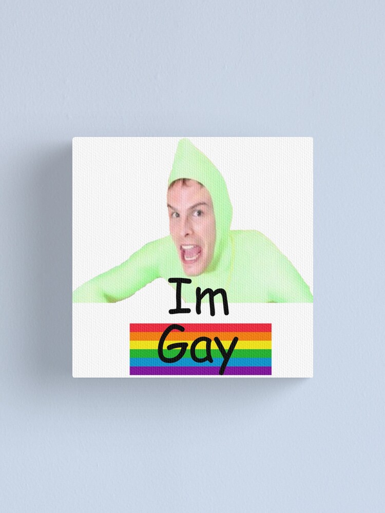 youtube i am gay meme