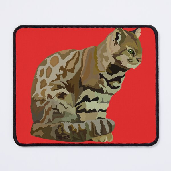 Item preview, A is for Andean Mountain Cat,Andean Mountain Cat Illustration – Rare and Elusive South American Wild Cat Artwork designed and sold by PrettylittlepastelUk.